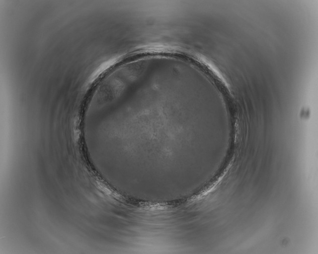 X0000090911213200708131406