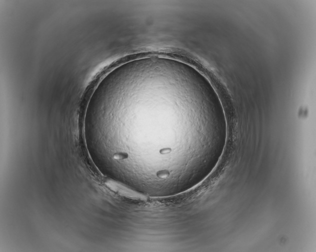 X0000090911214200708131406