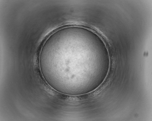 X0000090911215200708131406