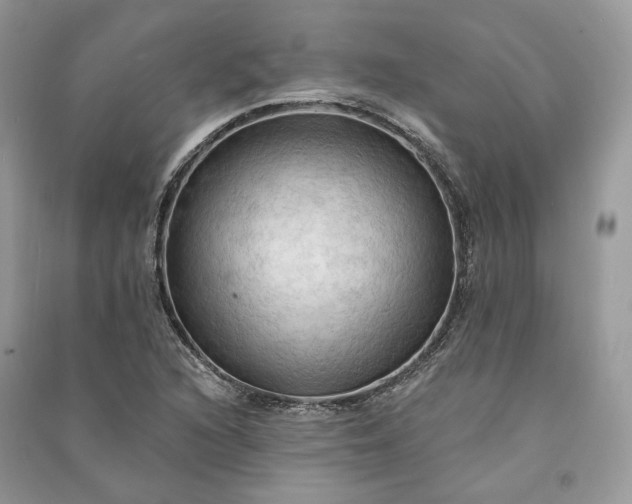 X0000090911216200708131406