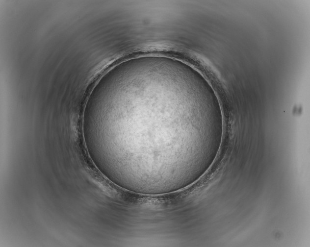 X0000090911217200708131406