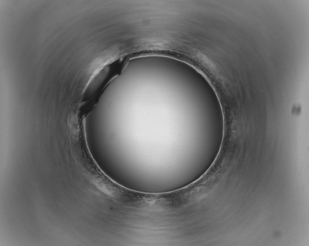 X0000090911218200708131406