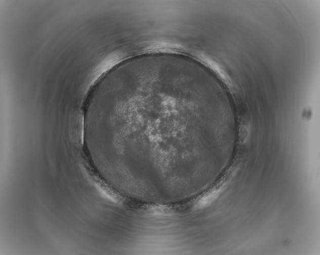 X0000090911219200708131406