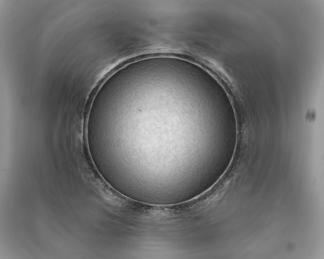 X0000090911220200708131406