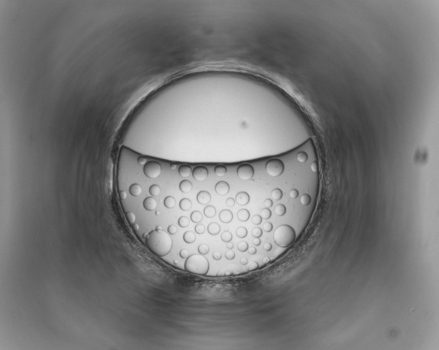 X0000090911221200708131406