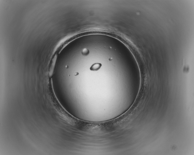 X0000090911222200708131406