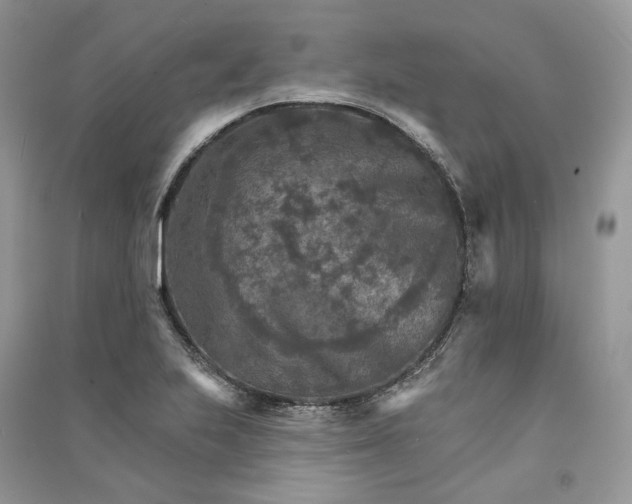 X0000090911223200708131406