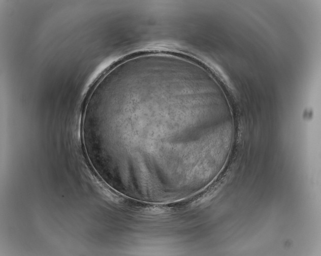 X0000090911224200708131406