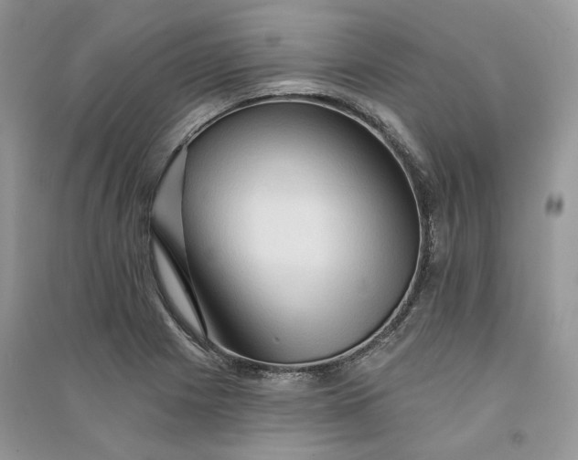 X0000090911225200708131406