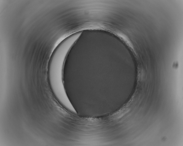 X0000090911226200708131406