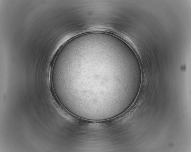 X0000090911227200708131406