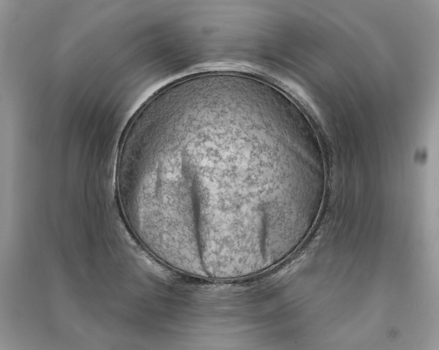 X0000090911228200708131406