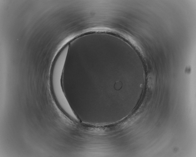 X0000090911229200708131406