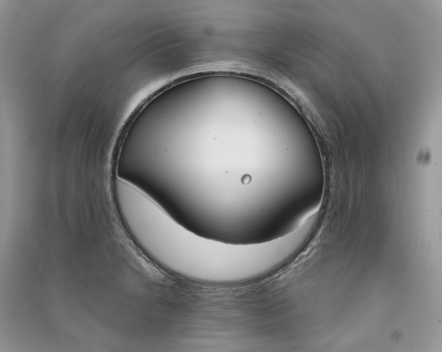 X0000090911230200708131406