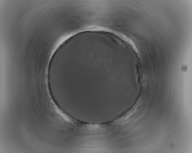 X0000090911231200708131406