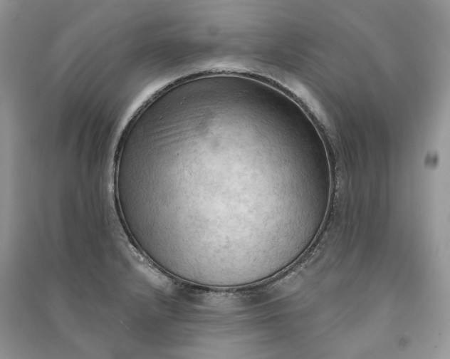 X0000090911232200708131406