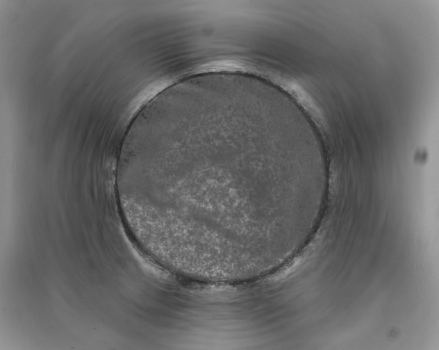 X0000090911233200708131406