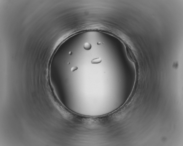 X0000090911234200708131406