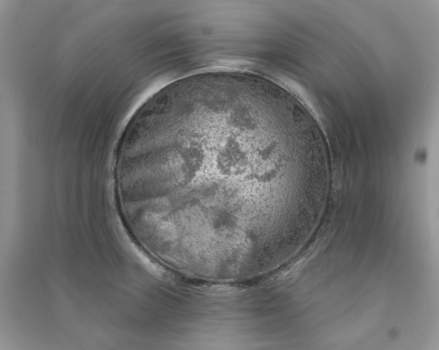 X0000090911235200708131406