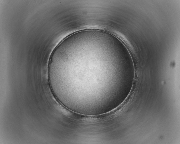 X0000090911236200708131406