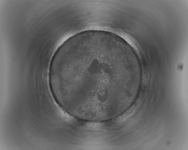 X0000090911237200708131406