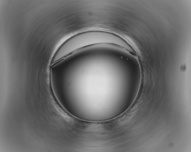 X0000090911238200708131406