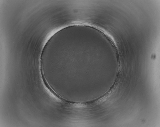 X0000090911239200708131406