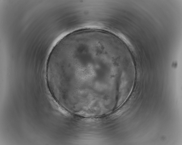 X0000090911240200708131406