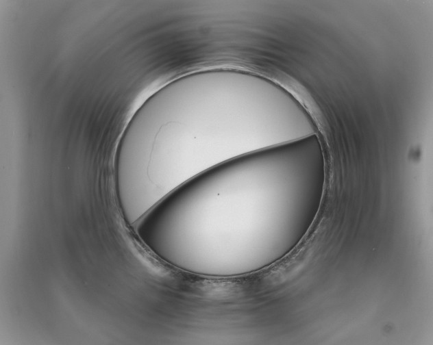 X0000090911242200708131406