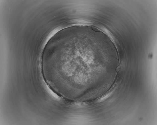 X0000090911243200708131406