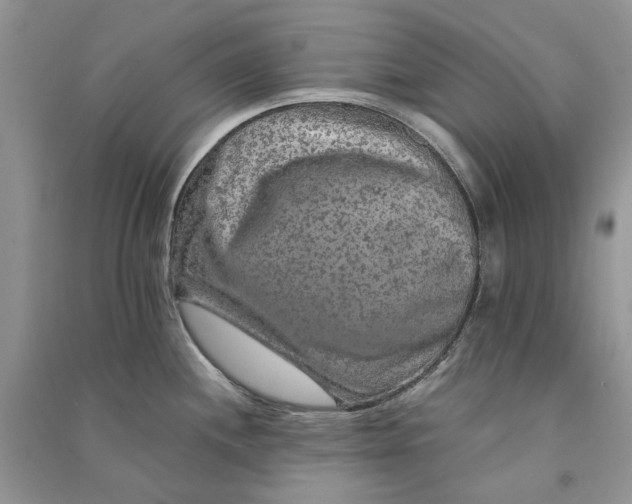 X0000090911244200708131406