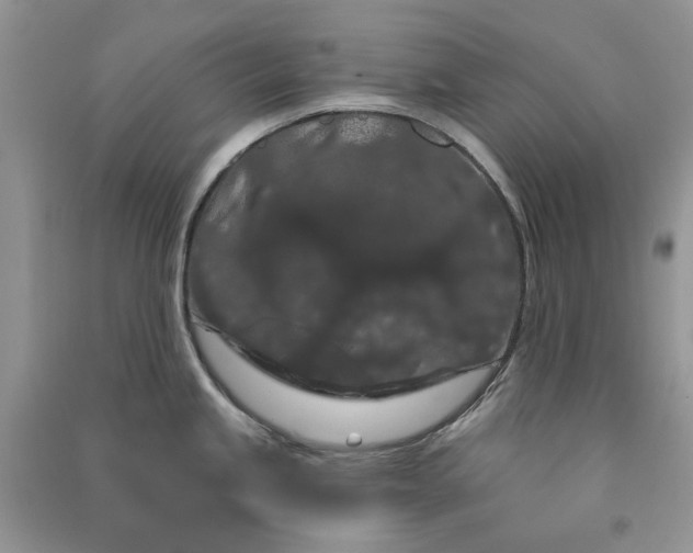 X0000090911245200708131406