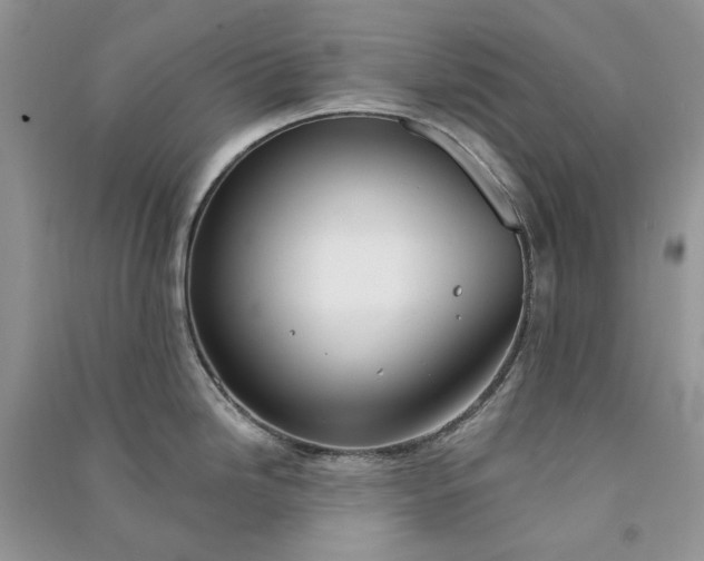 X0000090911246200708131406