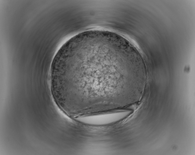 X0000090911247200708131406