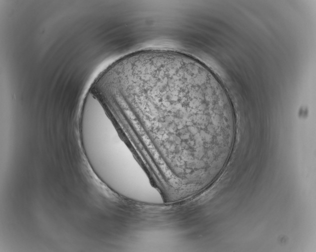 X0000090911248200708131406