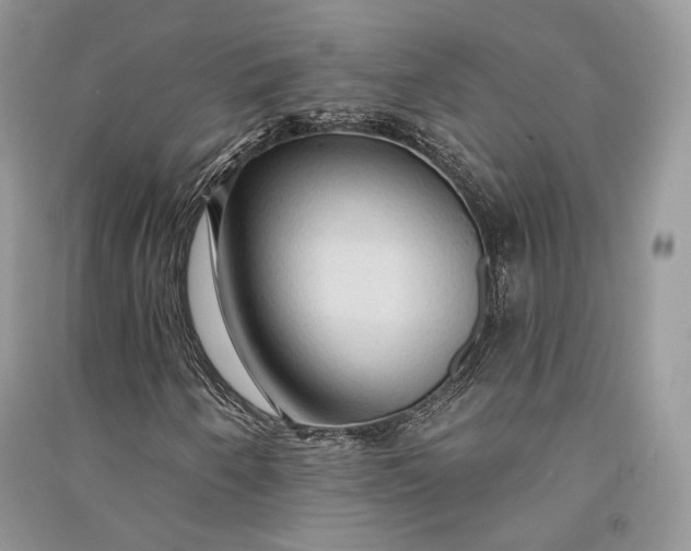 X0000090911250200708131405