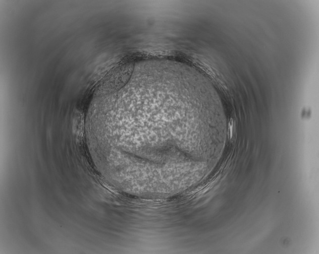 X0000090911251200708131405