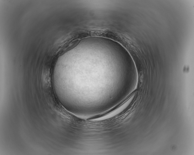 X0000090911252200708131405