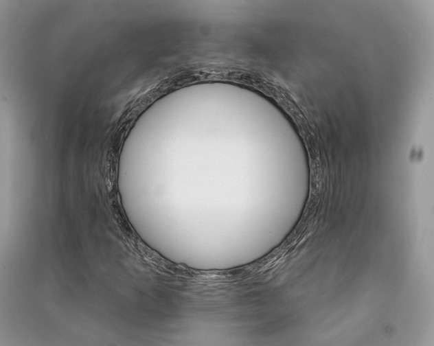 X0000090911253200708131405