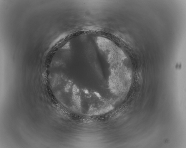 X0000090911254200708131405