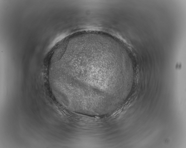 X0000090911255200708131405