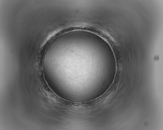 X0000090911256200708131405