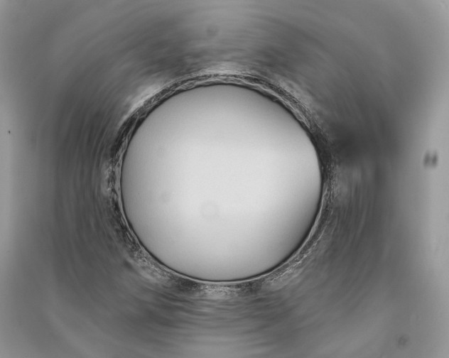 X0000090911258200708131405