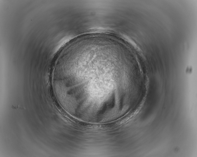 X0000090911259200708131405