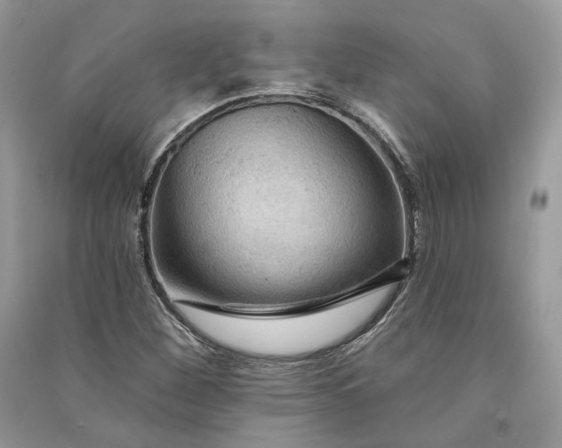 X0000090911260200708131405