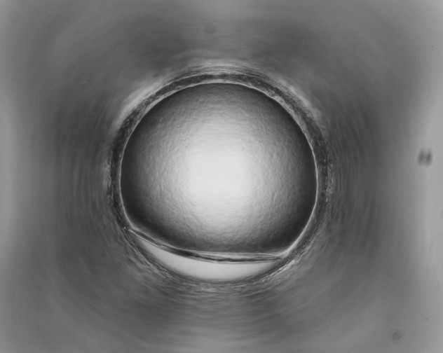 X0000090911261200708131405