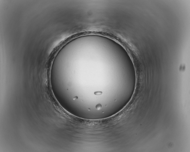 X0000090911262200708131405