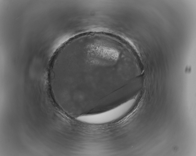 X0000090911263200708131405