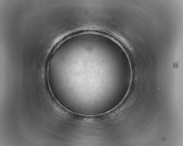 X0000090911264200708131405