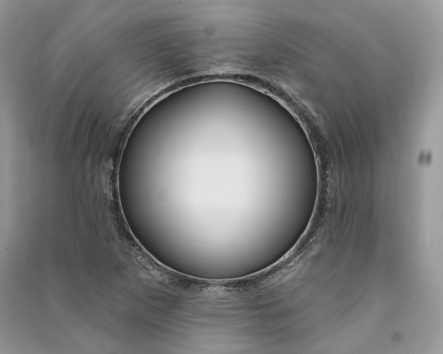 X0000090911265200708131405